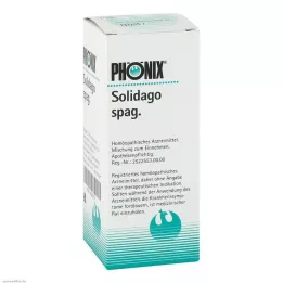 PHÖNIX SOLIDAGO mezcla de espaguetis, 100 ml