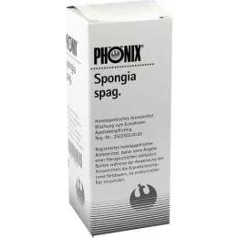 PHÖNIX SPONGIA mezcla de espaguetis, 50 ml