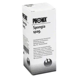 PHÖNIX SPONGIA mezcla de espaguetis, 50 ml