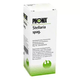 PHÖNIX STELLARIA mezcla de espaguetis, 50 ml