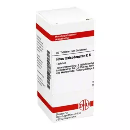 RHUS TOXICODENDRON C 6 comprimidos, 80 uds