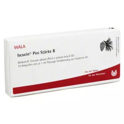 ISCUCIN pini Ampollas Almidón B, 10X1 ml