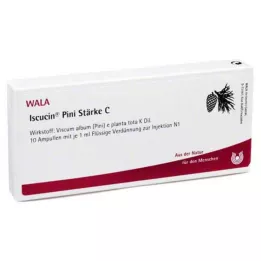 ISCUCIN pini Ampollas Almidón C, 10X1 ml