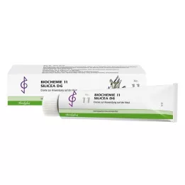 BIOCHEMIE 11 Silicea D 6 Crema, 100 ml