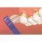 GUM Cepillo copetudo, 1 ud