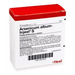 ARSENICUM ALBUM INJEEL Ampollas S, 10 uds