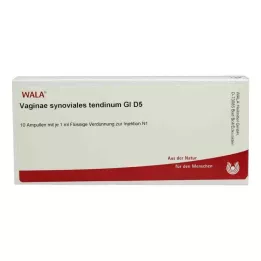 VAGINAE tendón sinovial GL D 5 ampollas, 10X1 ml