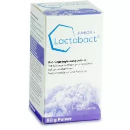 LACTOBACT Junior en polvo, 60 g