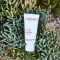 ALOE VERA CREME medio sin fragancia, 30 ml
