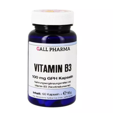 VITAMIN B3 100 mg GPH Cápsulas, 60 uds