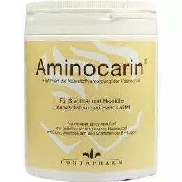 AMINOCARIN Polvo de estaño, 400 g