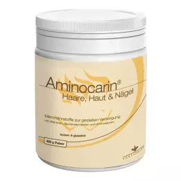 AMINOCARIN Polvo de estaño, 400 g