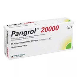 PANGROL 20.000 comprimidos con cubierta entérica, 50 unidades