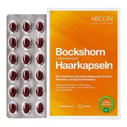 BOCKSHORN+cápsulas capilares micronutrientes Tisane plus, 60 uds