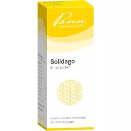 SOLIDAGO SIMILIAPLEX Gotas, 50 ml