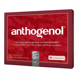 ANTHOGENOL Masquelier OPC Cápsulas, 30 uds