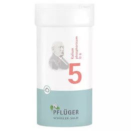 BIOCHEMIE Ploughmans Plaster 5 Kalium phosphoricum D 6 Polvo, 100 g