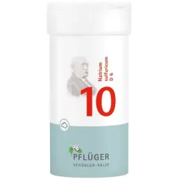 BIOCHEMIE Ploughmans Plaster 10 Natrium sulphuricum D 6 Polvo, 100 g