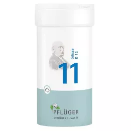 BIOCHEMIE Ploughmans 11 Silicea D 12 Polvo, 100 g