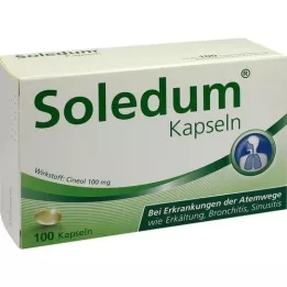 SOLEDUM 100 mg cápsulas con recubrimiento entérico, 100 unidades