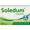 SOLEDUM 100 mg cápsulas con recubrimiento entérico, 100 unidades