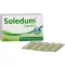 SOLEDUM 100 mg cápsulas con recubrimiento entérico, 100 unidades