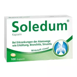 SOLEDUM 100 mg cápsulas con recubrimiento entérico, 100 unidades