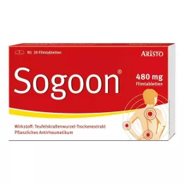 SOGOON 480 mg comprimidos recubiertos con película, 20 uds