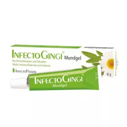 INFECTOGINGI Gel bucal, 6 g