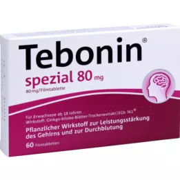 TEBONIN comprimidos recubiertos especiales de 80 mg, 60 unidades