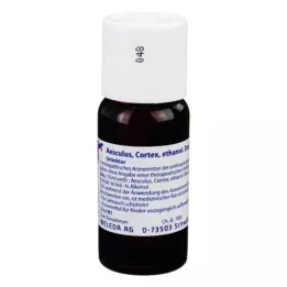 AESCULUS CORTEX Decoct. tintura madre D 1, 50 ml