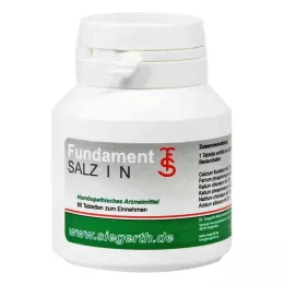 FUNDAMENT-Sal I N Comprimidos, 4X80 St