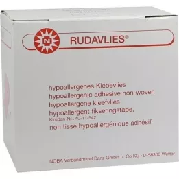 RUDAVLIES Vellón adhesivo 10 cmx10 m, 1 ud