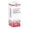 Asterias Rubens D6 Dilución (20 ml)