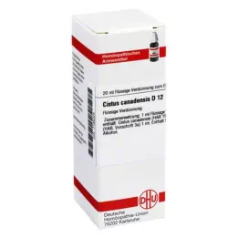 CISTUS CANADENSIS D 12 Dilución, 20 ml