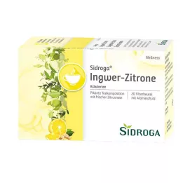 SIDROGA Bolsa de filtro de té Wellness Jengibre-Limón, 20X2,0 g