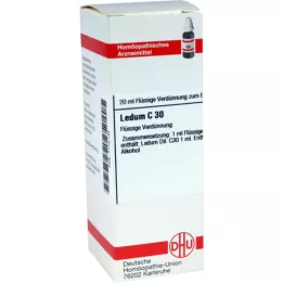 LEDUM Dilución C 30, 20 ml