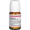 MAGNESIUM PHOSPHORICUM C 6 comprimidos, 80 uds