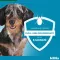 KILTIX Collar para perros pequeños, 1 ud