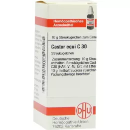 CASTOR equi C 30 glóbulos, 10 g