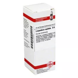 LESPEDEZA CAPITATA D 6 Dilución, 20 ml