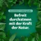 Ungüento Bronchoforton®, 100 g
