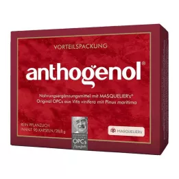 OPC ORIGINAL Masqueliers Anthogenol Cápsulas, 90 Cápsulas