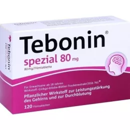 TEBONIN comprimidos recubiertos especiales de 80 mg, 120 unidades