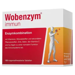 WOBENZYM comprimidos inmunes con cubierta entérica, 120 uds