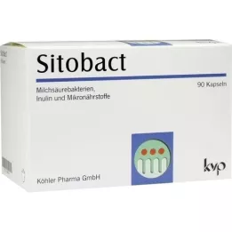 SITOBACT Cápsulas, 90 uds