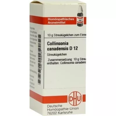 COLLINSONIA CANADENSIS D 12 glóbulos, 10 g