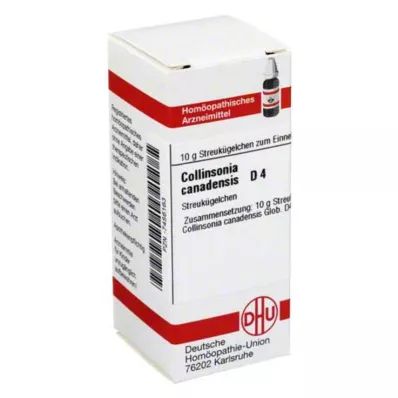 COLLINSONIA CANADENSIS D 4 glóbulos, 10 g