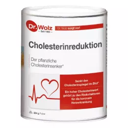 CHOLESTERINREDUKTION Dr.Wolz Polvo, 224 g