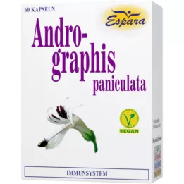 ANDROGRAPHIS paniculata cápsulas, 60 uds